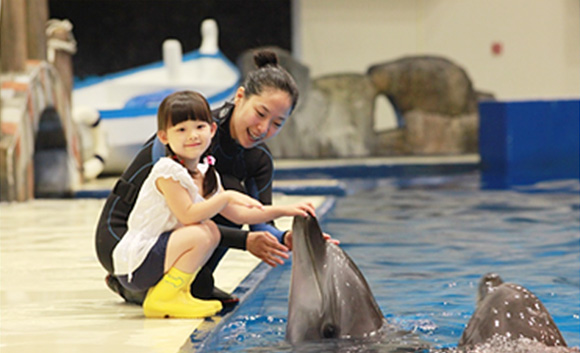 Sea Star VIP tour with ‘Sena’ the dolphin